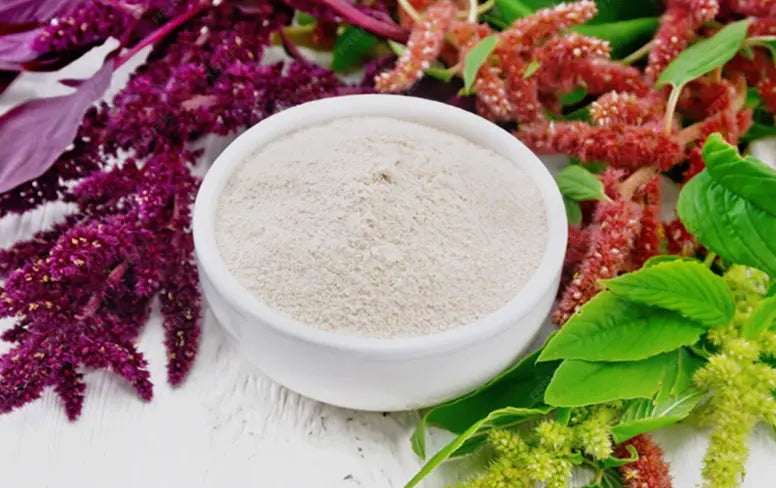 Huperzine A (Standardized Extract) – 20 mcg